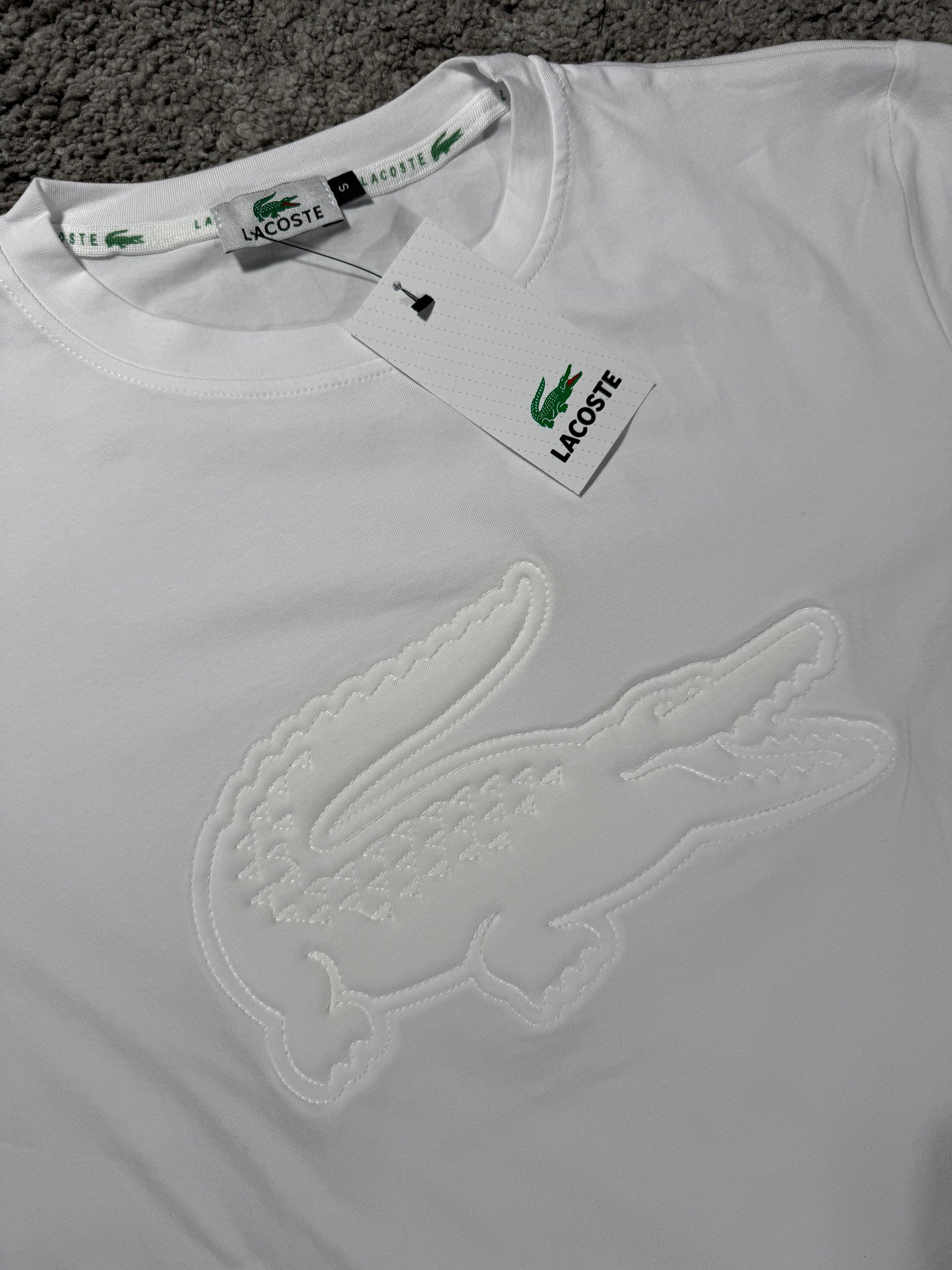 Conjunto Corto Lacoste Algodón